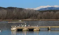 43148637241_75943f341f_c