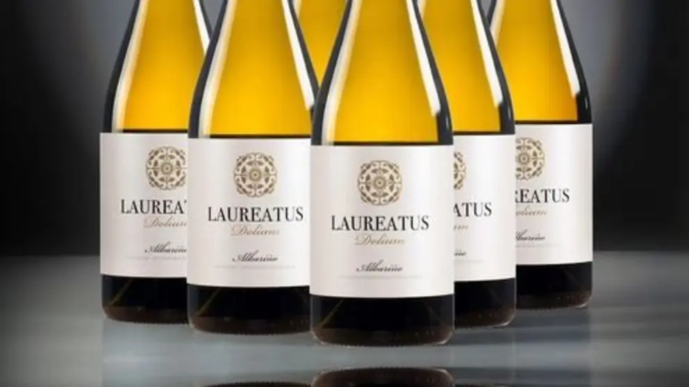 foto dolium creativa