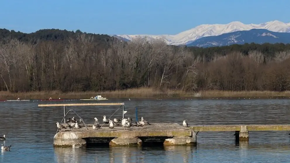 43148637241_75943f341f_c