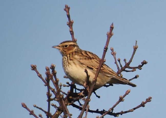 33054636586_db0ef96499_c