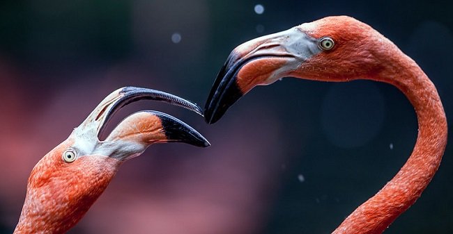 7997290923_d14fd82a5f_c