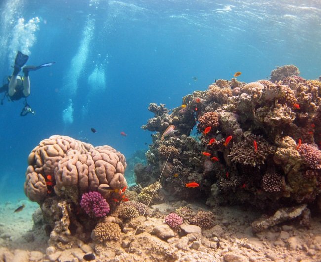 3533707178_8c92627392_z